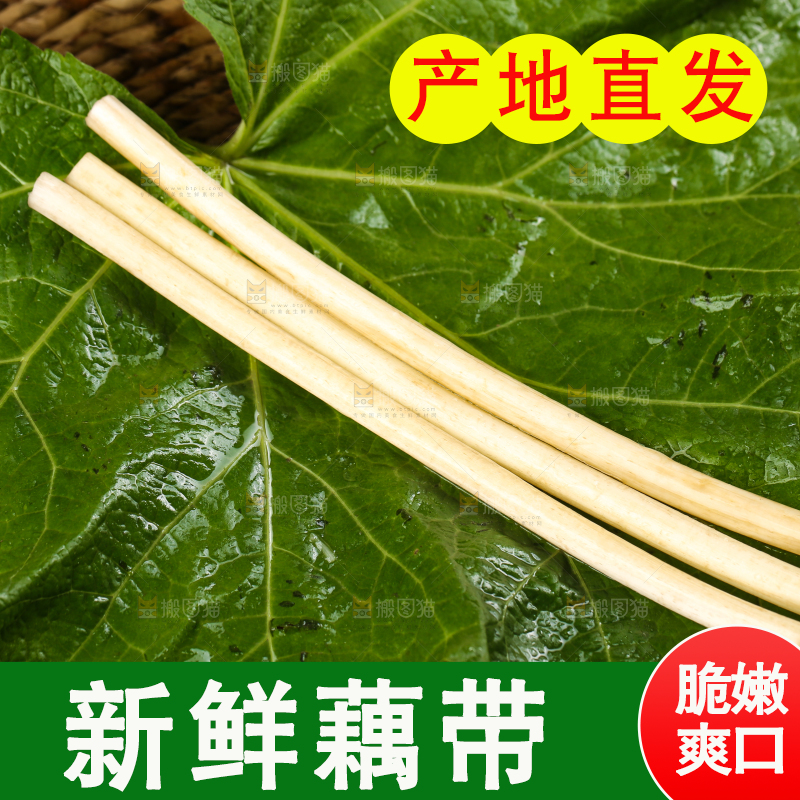荷叶上放着藕带