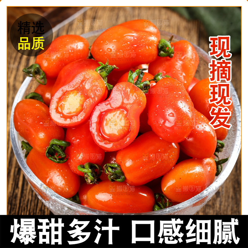 碗里装着409小柿子