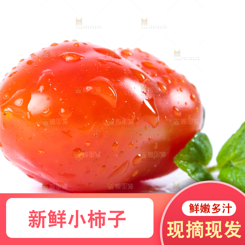 白底上摆放着丹东409小柿子