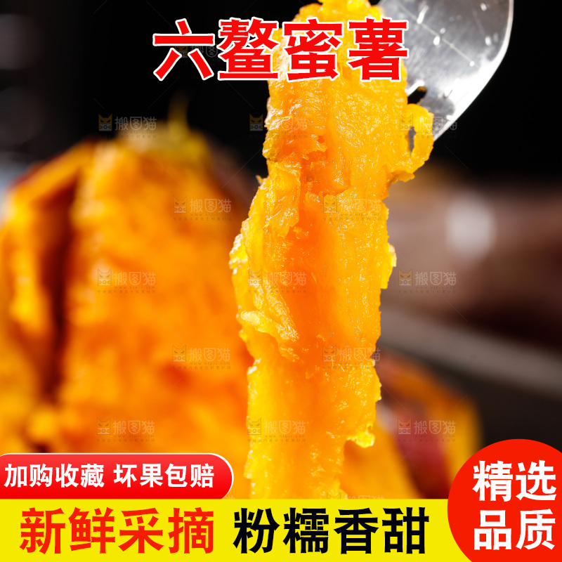 深底上的福建六鳌蜜薯