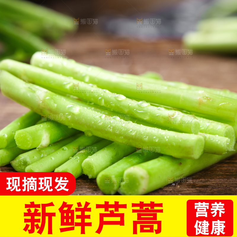 木底上的江西藜蒿