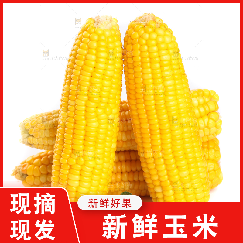白底上放着黄玉米