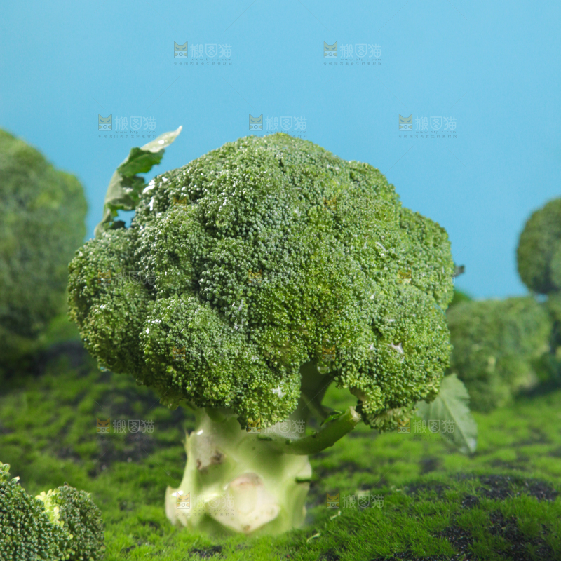 西兰花背景纹理