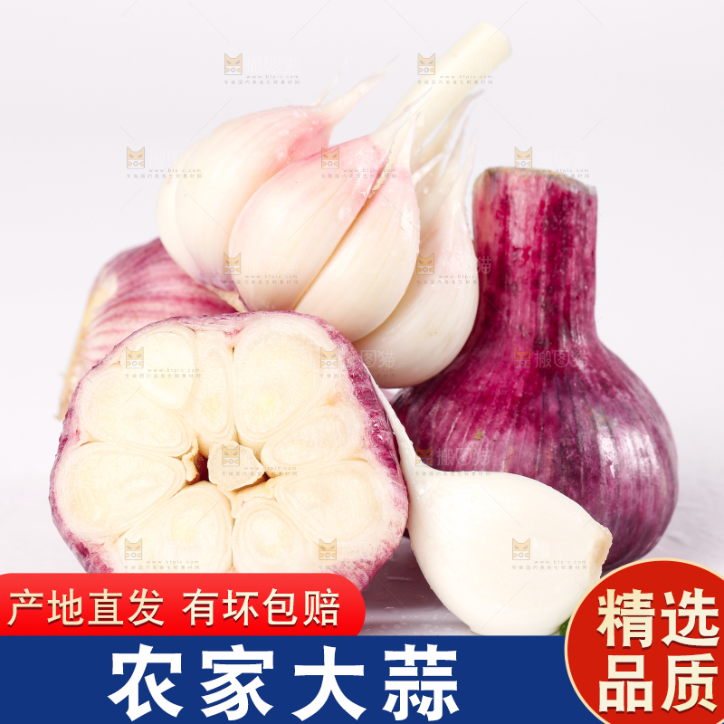 白底上放着大理紫皮多瓣蒜 