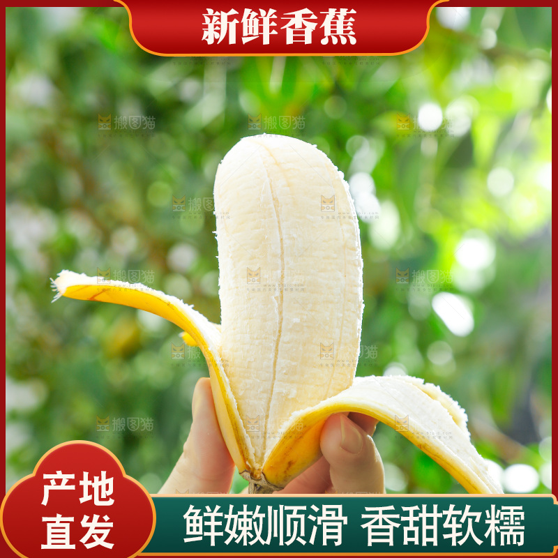 手拿剥皮的广西苹果蕉