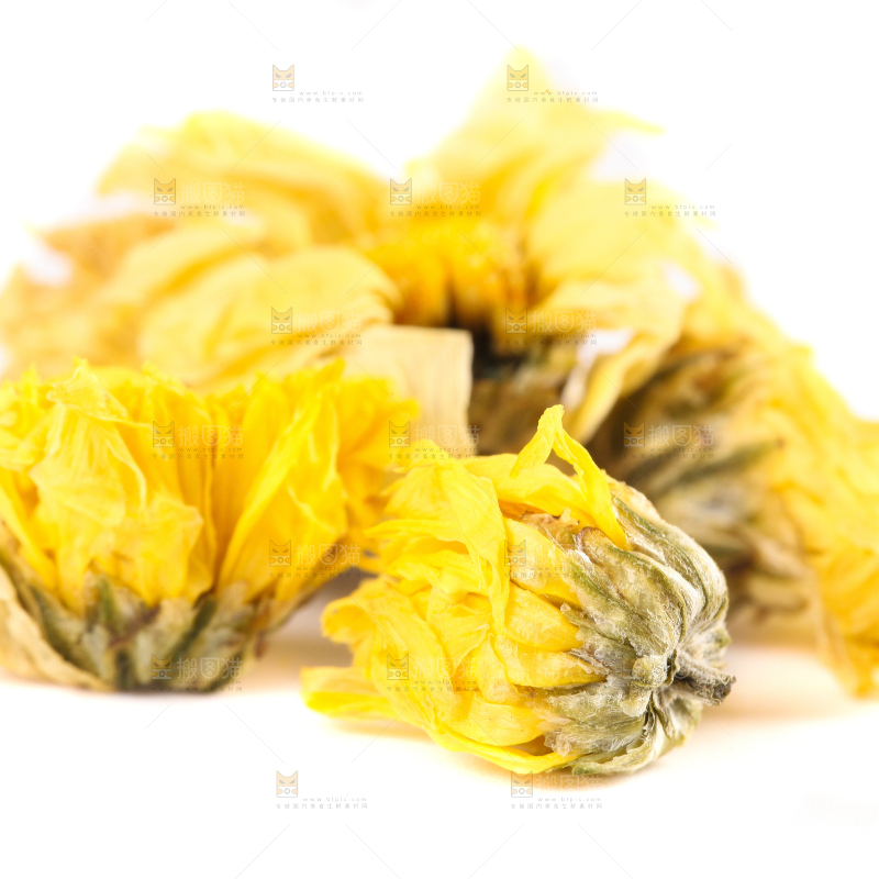 白底上的干菊花