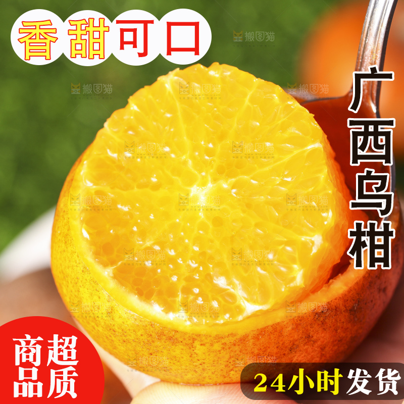 手拿切开的乌柑