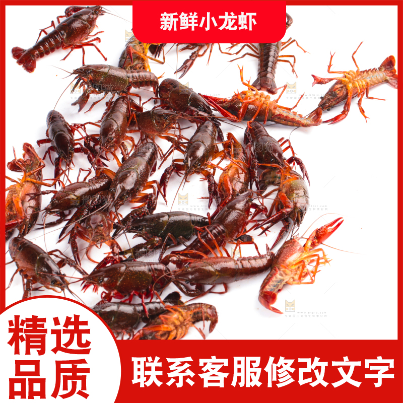 白底上放着潜江小龙虾