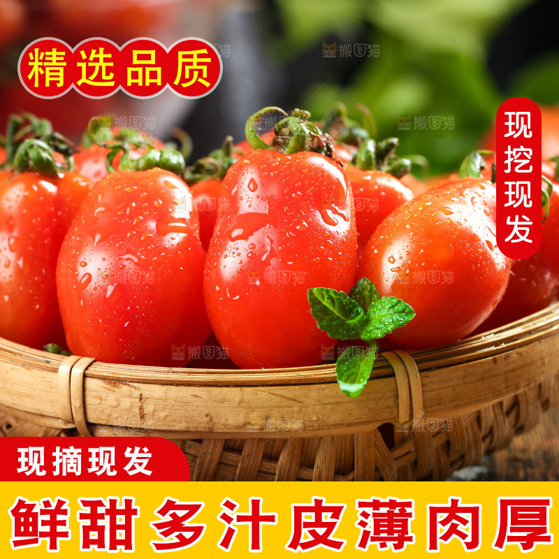 篮子里装着花生小柿子