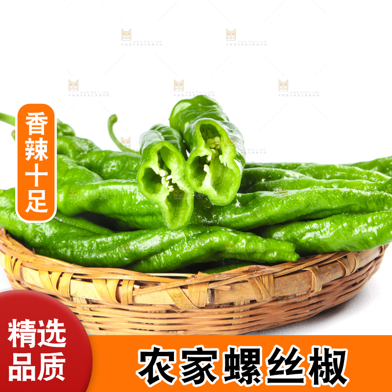 篮子里装着陕西螺丝椒