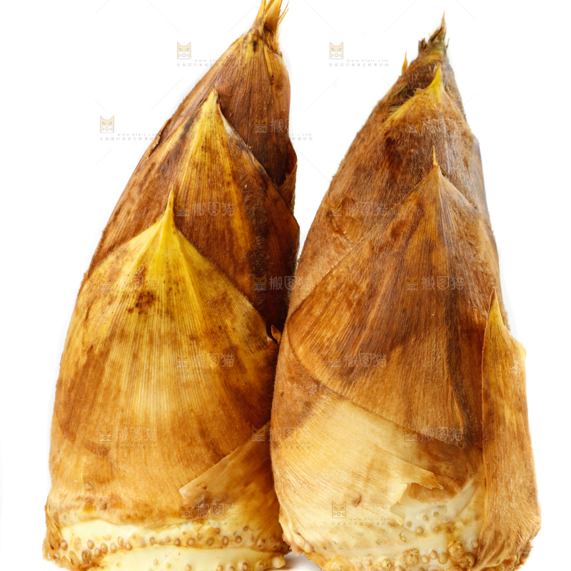 白底上的黄泥冬笋