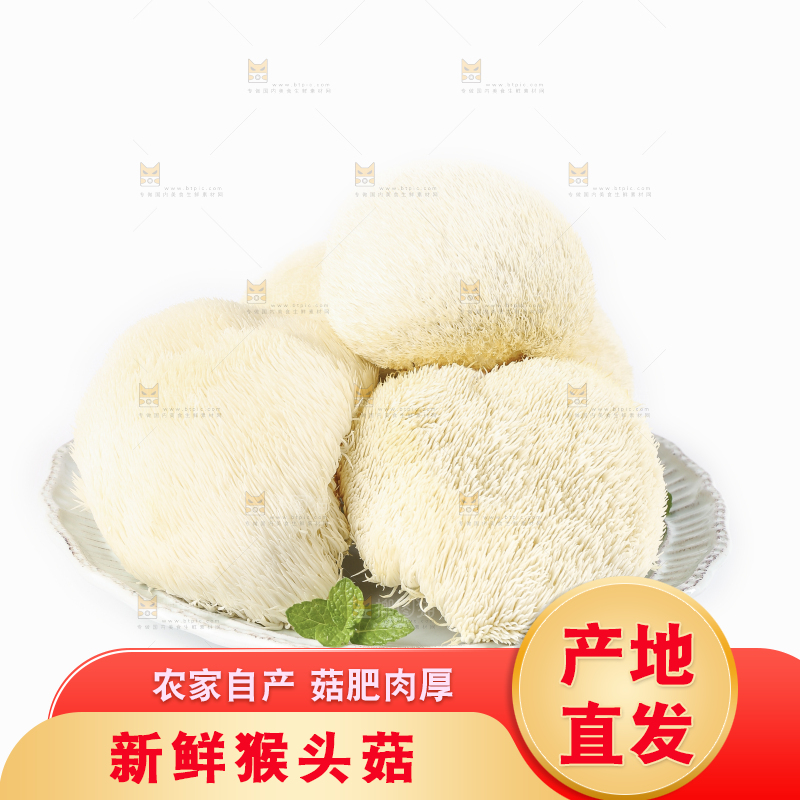 盘子里装着新鲜猴头菇