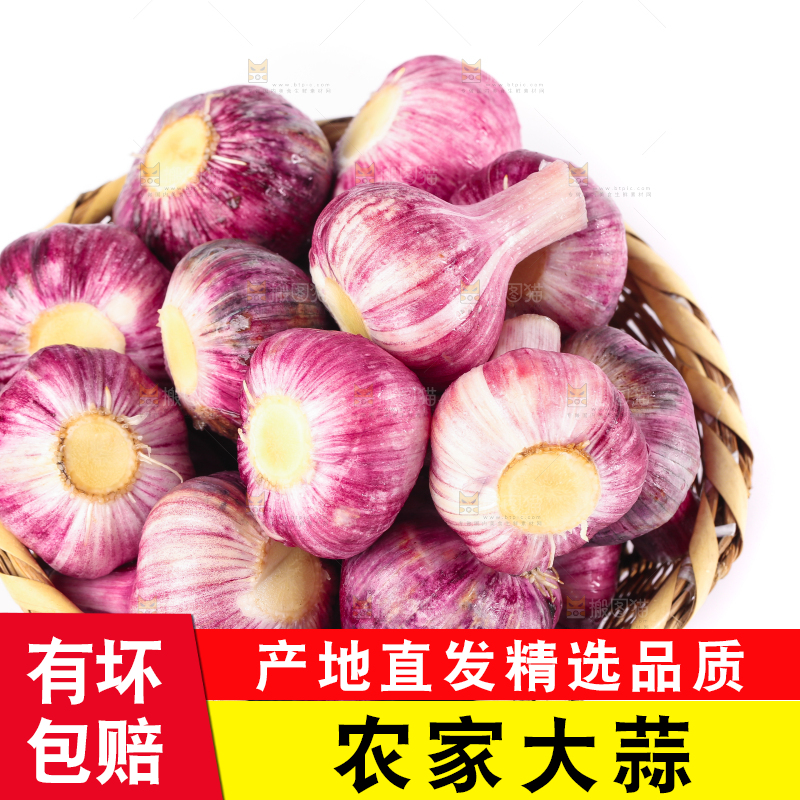 篮子里的大理紫皮多瓣蒜