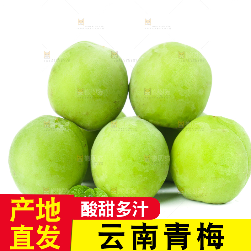 白底上放着大理青梅