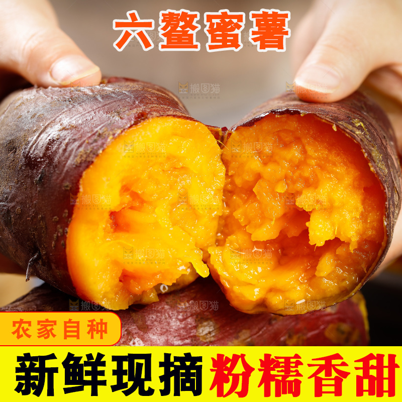 深底上的福建六鳌蜜薯