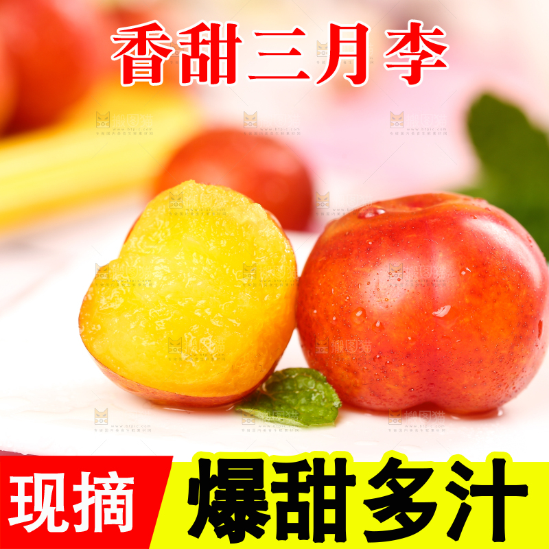 白石板上摆放着钱排三月李