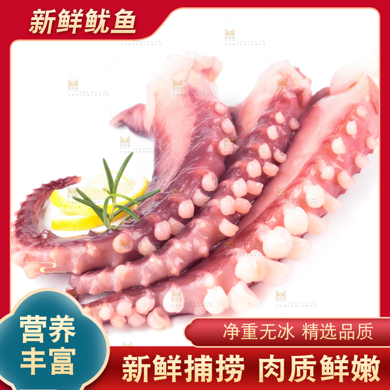 白底上的大鱿鱼