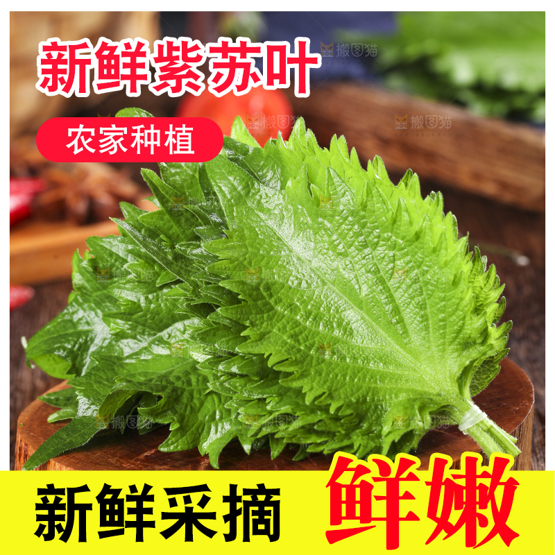 木底上的新鲜紫苏叶