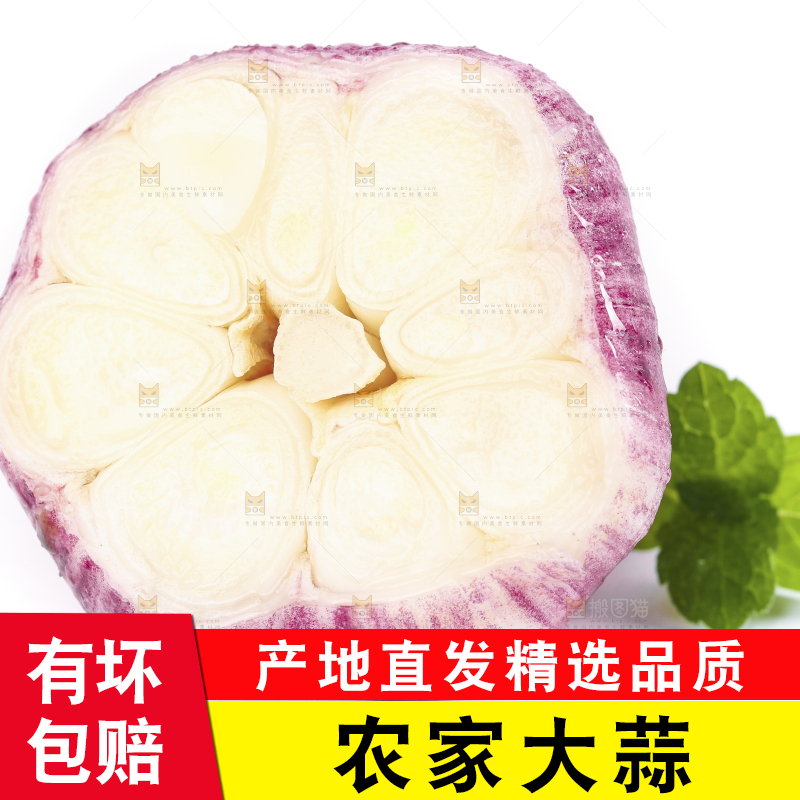 白底上放着紫皮大蒜