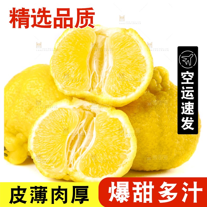 白底上放着四川柠檬不知火