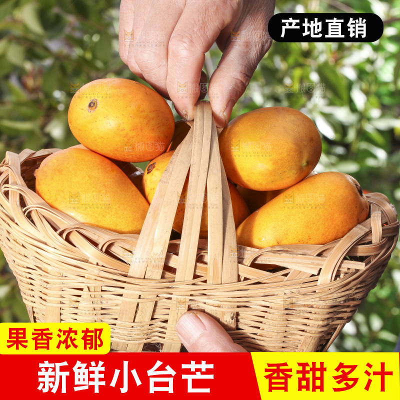 手拿一篮小台芒