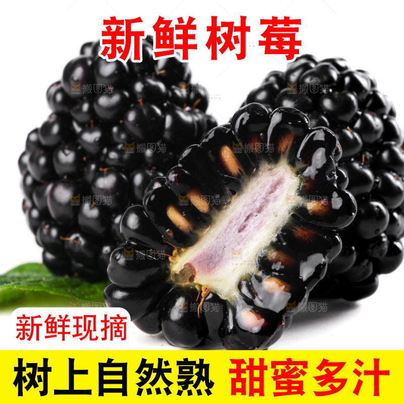 白底上切开的黑树莓