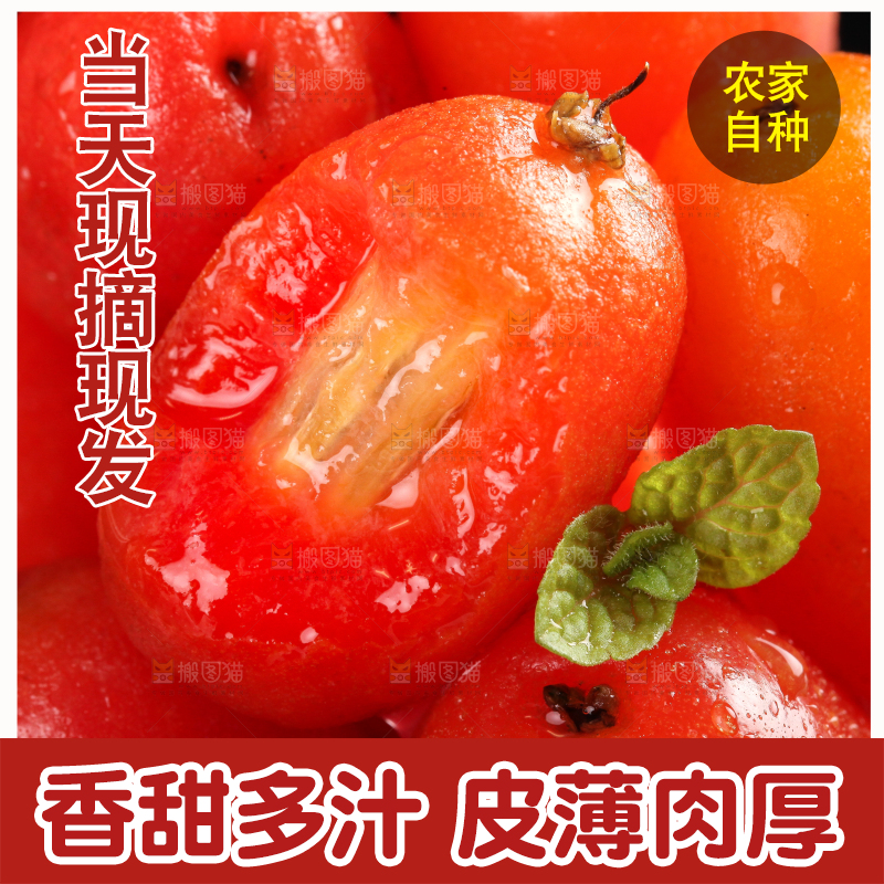 黑底上放着一碗胡颓果