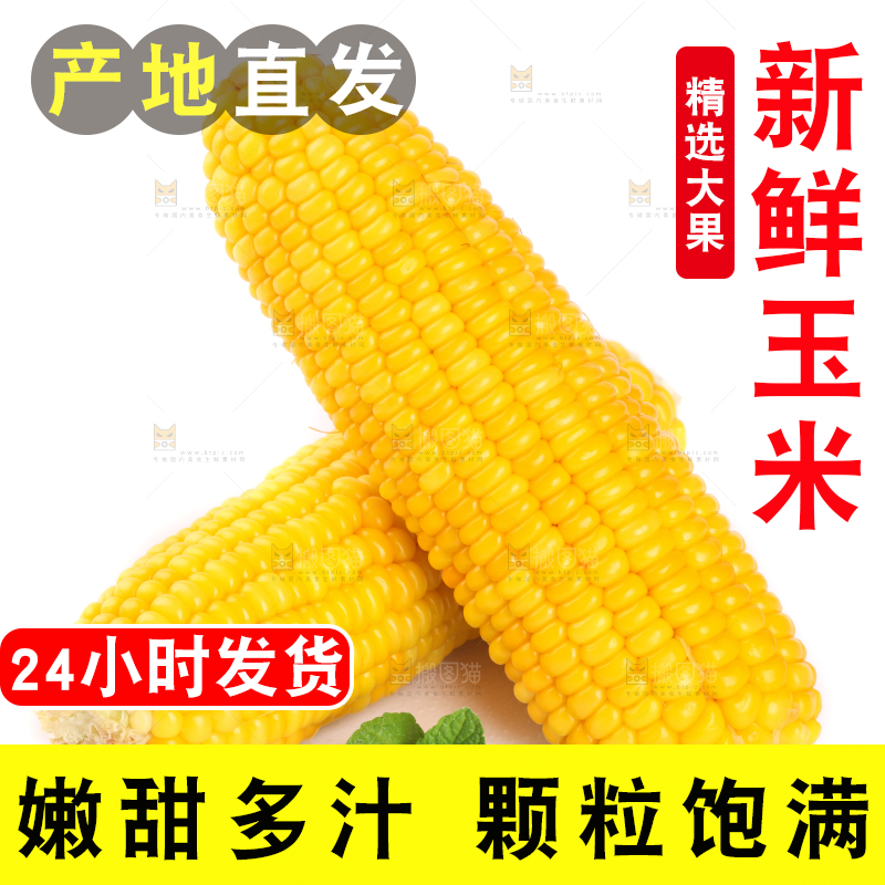 白底上放着黄玉米