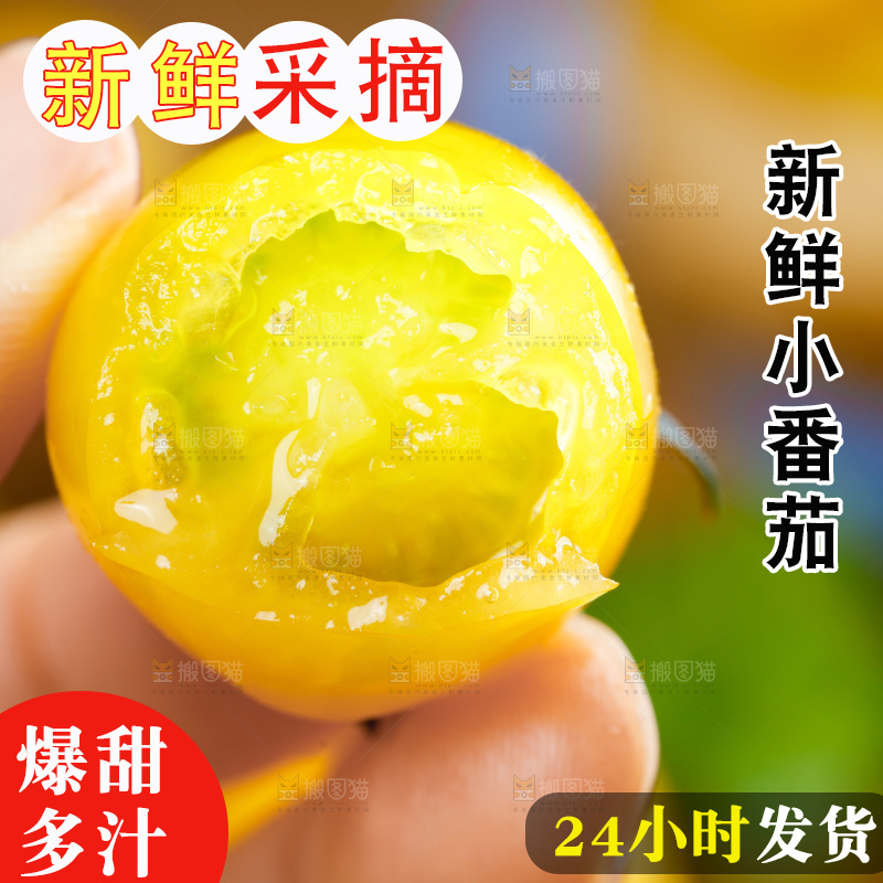 手拿黄金圣女果