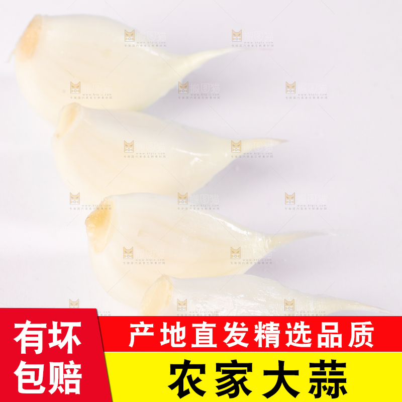 白底上的蒜瓣