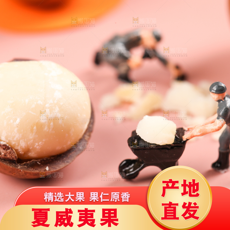 浅底上的夏威夷果