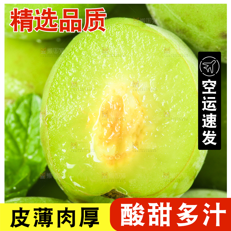 一盘脆青梅放在白底上