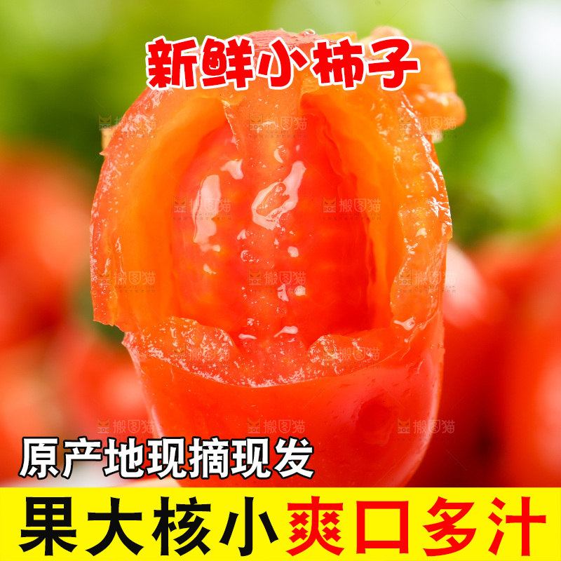 手里拿着丹东409小柿子