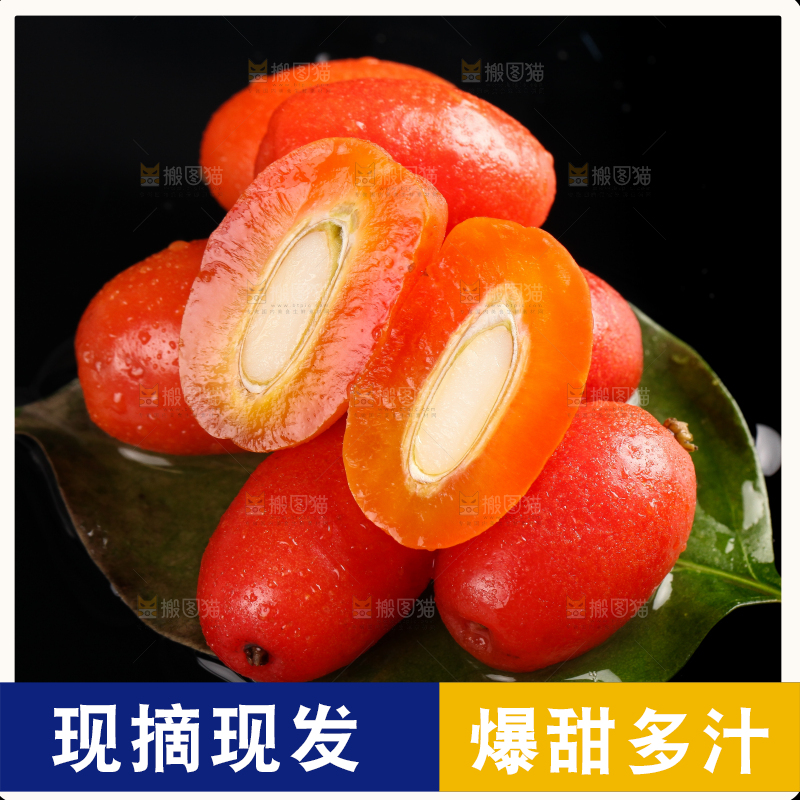 树叶上的云南羊奶果