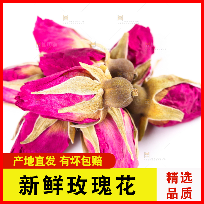 白底上的玫瑰花干