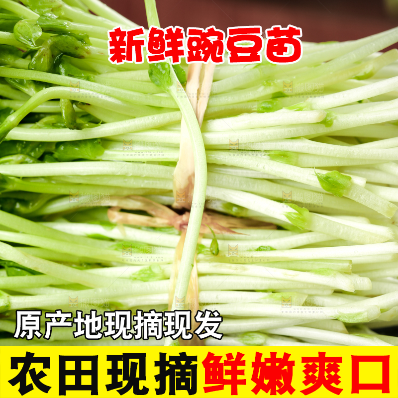 黑石板上的豌豆芽苗菜