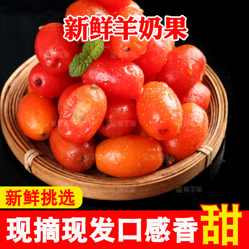 一筐酸甜羊奶果放在黑底上