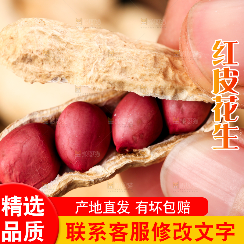 手拿红皮花生