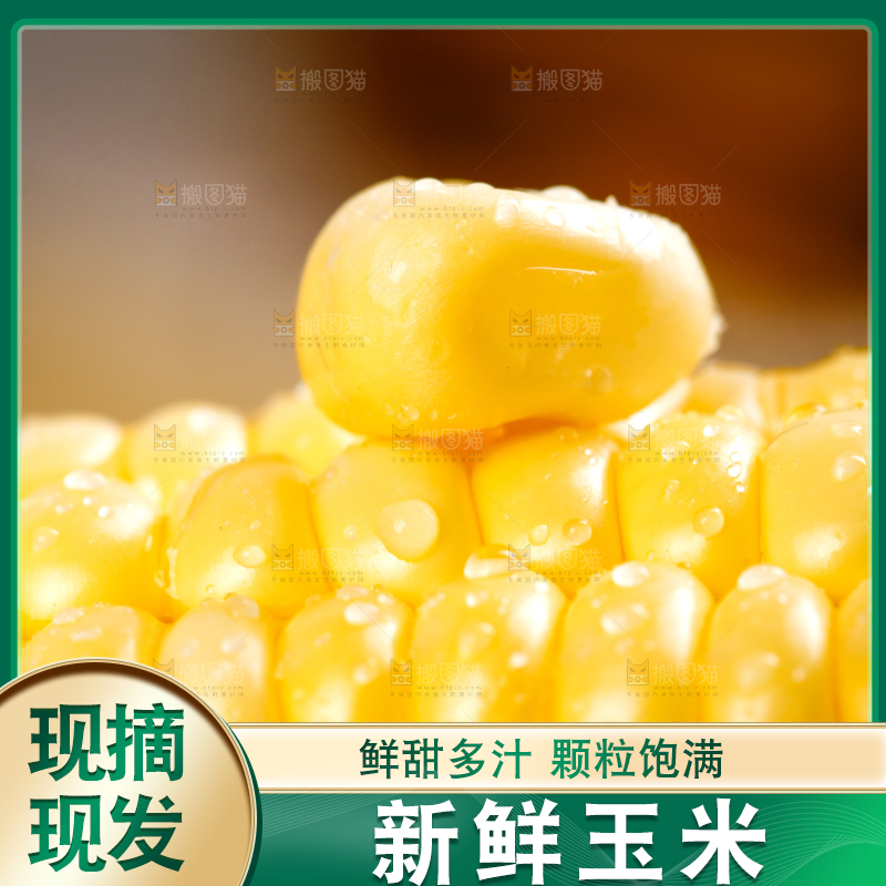 浅底上的黄玉米