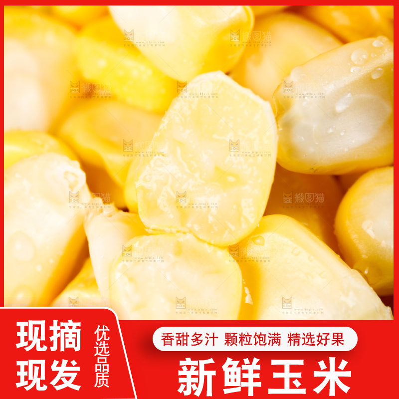 浅底上的黄玉米
