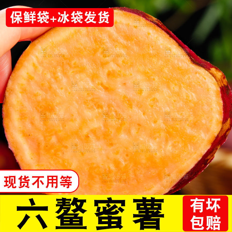 手里拿着新鲜蜜薯