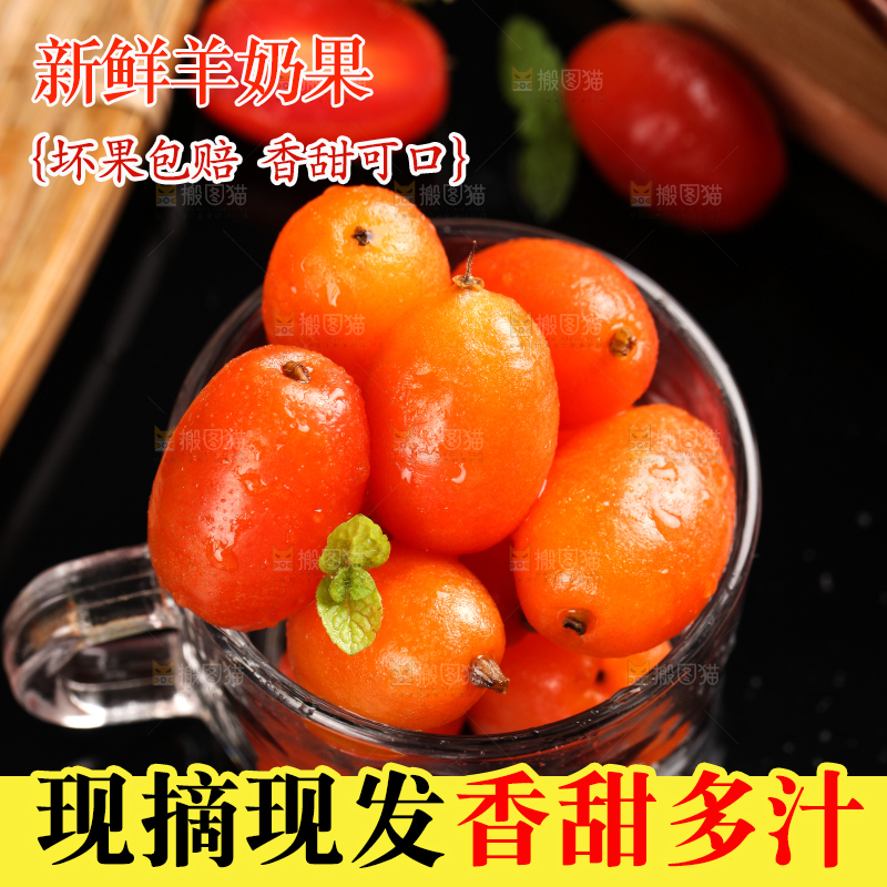 黑底上放着一杯羊奶果