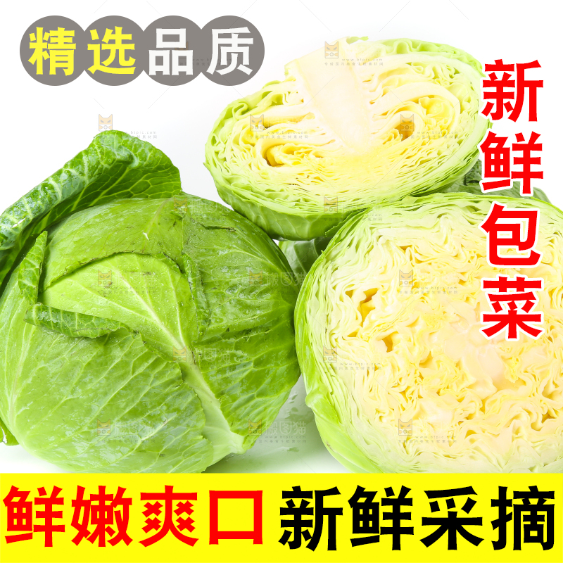 白底上放着切开的包菜