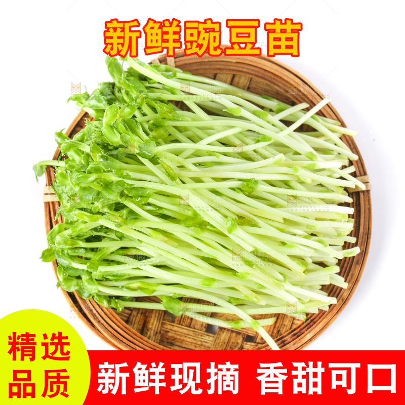 盘子里装着新鲜豌豆芽