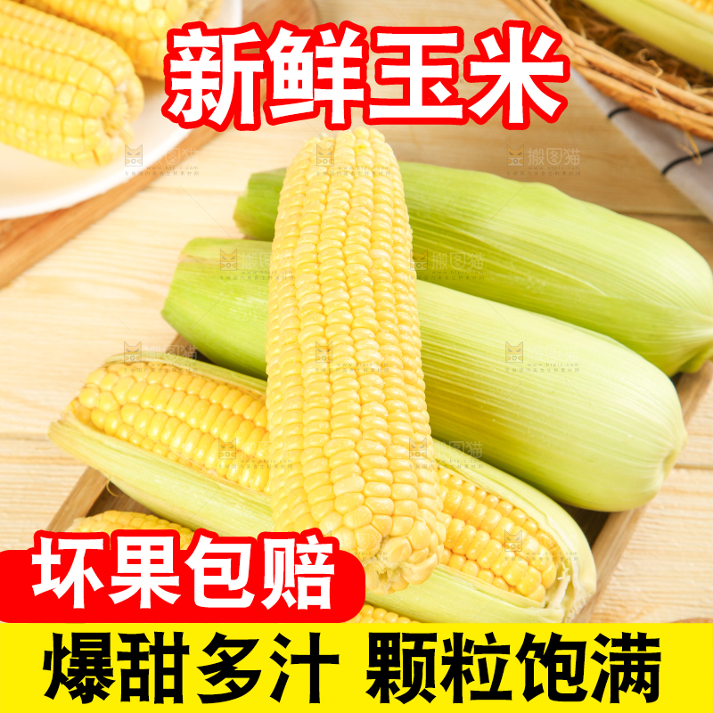 盘子里装着东北玉米