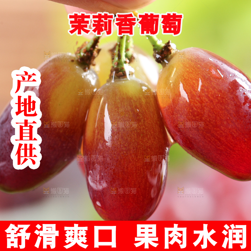 叶子上放着茉莉香葡萄