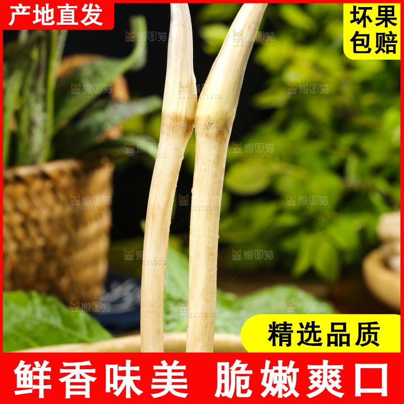 荷叶上放着洪湖藕带