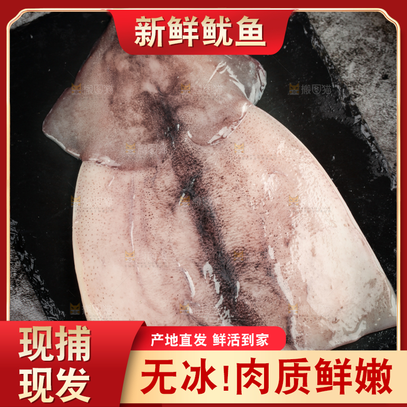 黑石板上摆放着鱿鱼