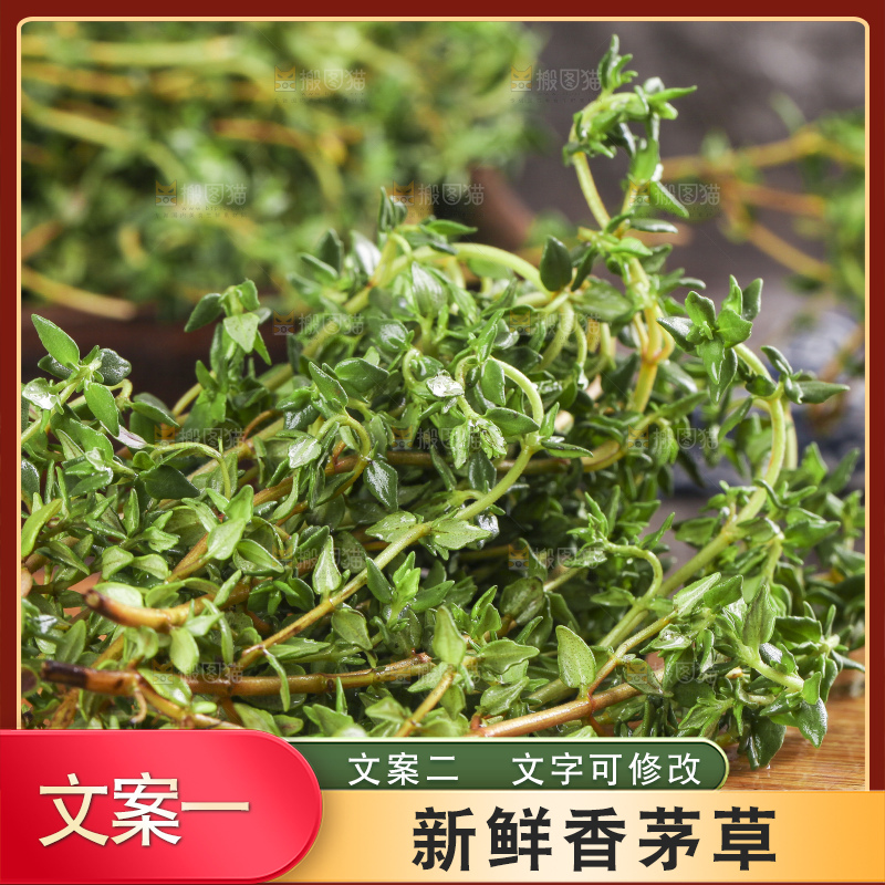 木底上的百里香
