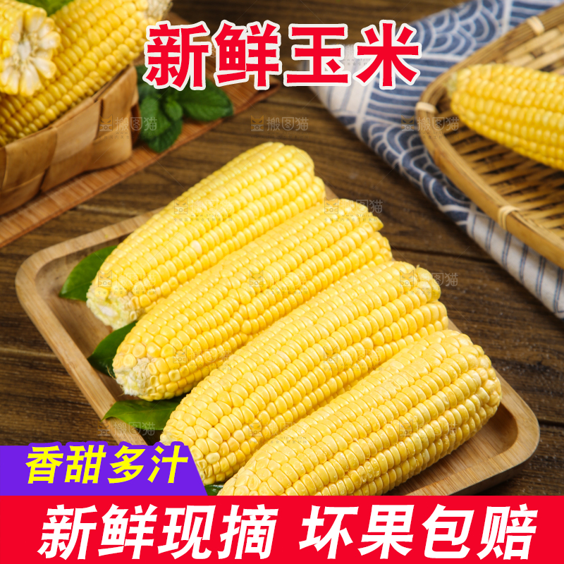 盘子里装着东北玉米